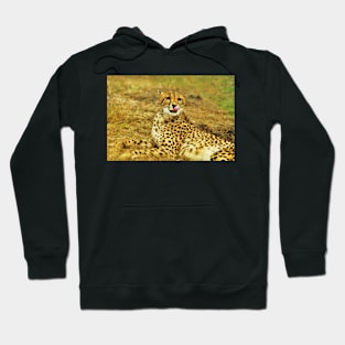 Come on laugh, I Dare You! Hoodie